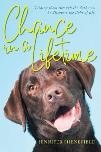 Cover image for Chance in a Lifetime