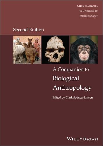 Cover image for Companion to Biological Anthropology