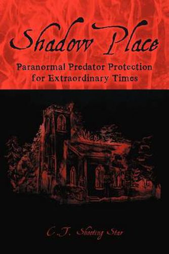 Cover image for Shadow Place