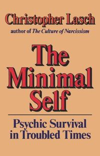 Cover image for The Minimal Self: Psychic Survival in Troubled Times