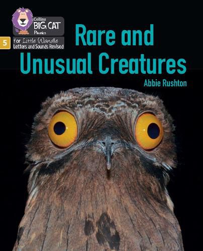 Cover image for Rare and Unusual Creatures: Phase 5 Set 5 Stretch and Challenge