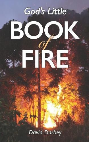 Cover image for God's Little Book of Fire