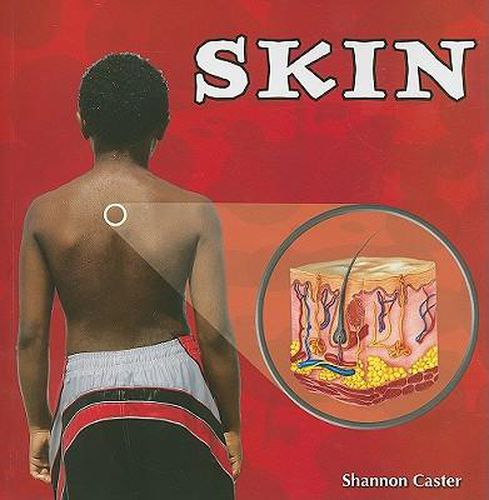 Cover image for Skin