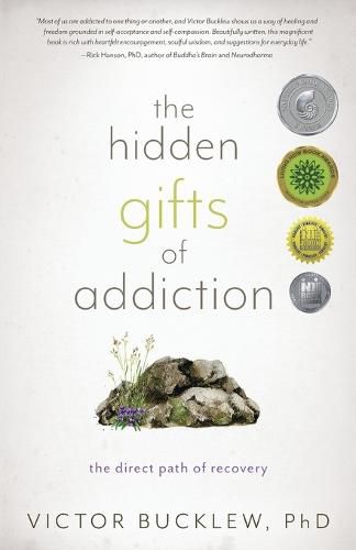 Cover image for The Hidden Gifts of Addiction: The Direct Path of Recovery