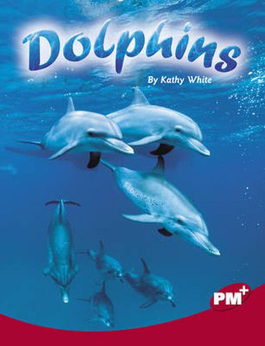 Cover image for Dolphins