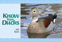 Cover image for Know Your Ducks