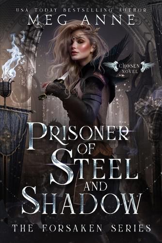 Cover image for Prisoner of Steel and Shadow