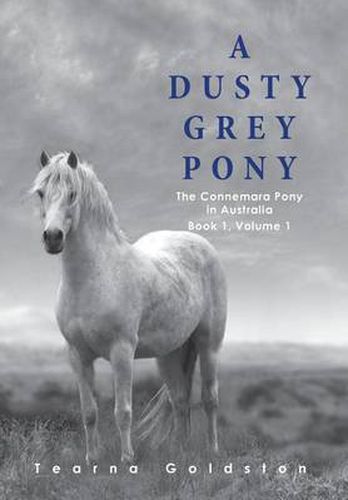 Cover image for A Dusty Grey Pony Book 1 Volume 1