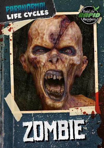 Cover image for Zombie