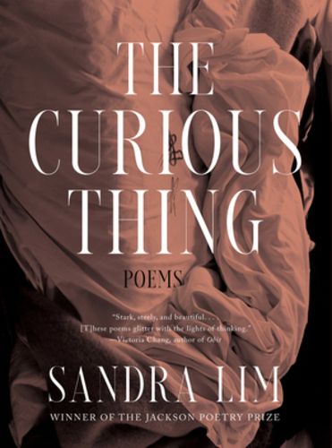 Cover image for The Curious Thing