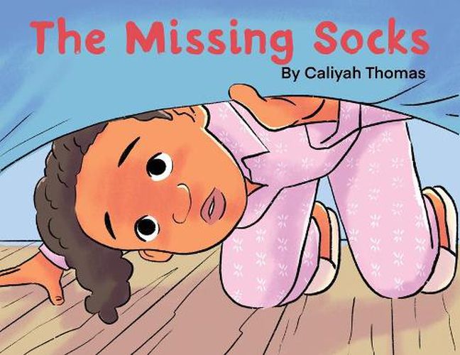 Cover image for The Missing Socks