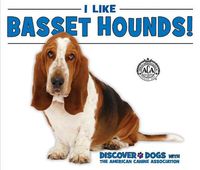 Cover image for I Like Basset Hounds!