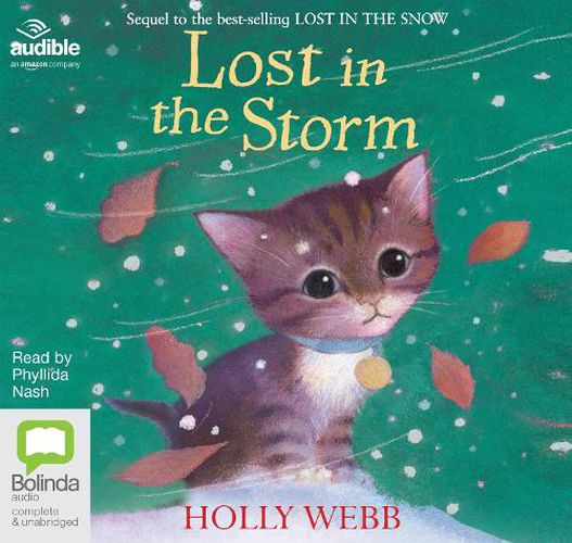 Cover image for Lost in the Storm