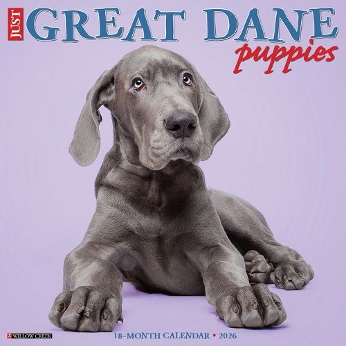 Cover image for Great Dane Puppies 2026 12 X 12 Wall Calendar