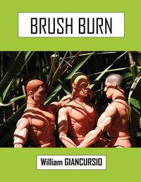 Cover image for Brush Burn