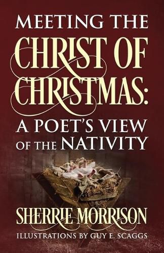 Cover image for Meeting the Christ of Christmas: A Poet's View of the Nativity