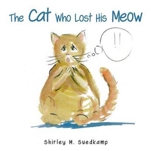 The Cat Who Lost His Meow