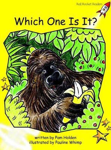 Cover image for Red Rocket Readers: Early Level 2 Fiction Set B: Which One Is It? (Reading Level 7/F&P Level D)