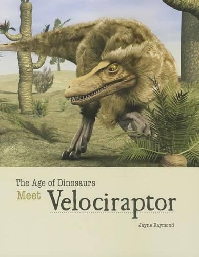 Cover image for Meet Velociraptor