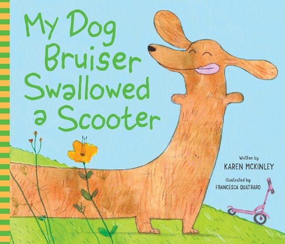 Cover image for My Dog Bruiser Swallowed a Scooter