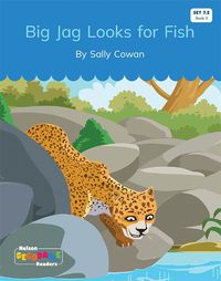 Cover image for Big Jag Looks for Fish (Set 7.2, Book 3)