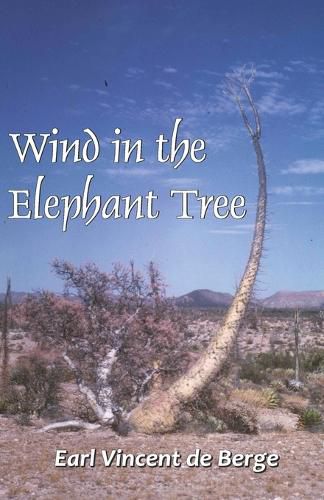 Cover image for WINDS