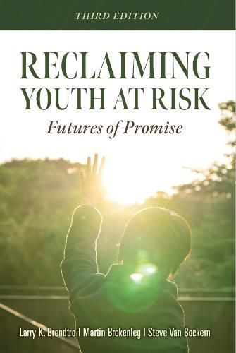 Cover image for Reclaiming Youth at Risk: Futures of Promise (Reach Alienated Youth and Break the Conflict Cycle Using the Circle of Courage)