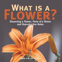 Cover image for What is a Flower? Dissecting a Flower, Parts of a Flower and Reproductive Roles Grade 6-8 Life Science