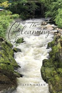 Cover image for The Cleansing