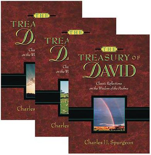 Cover image for The Treasury of David