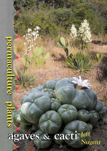 Cover image for Permaculture Plants: agaves and cacti