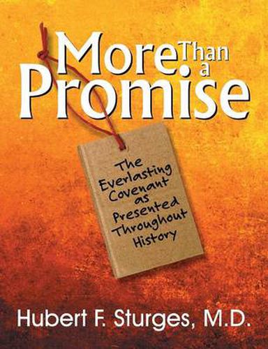 Cover image for More Than a Promise