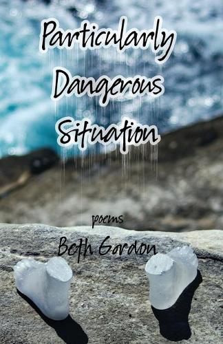 Cover image for Particularly Dangerous Situation