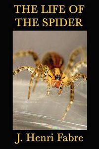 Cover image for The Life of the Spider