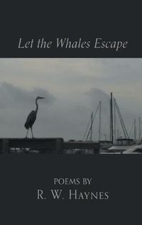 Cover image for Let the Whales Escape