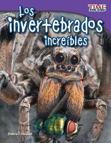 Cover image for Los invertebrados increibles (Incredible Invertebrates) (Spanish Version)