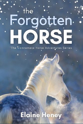 The Forgotten Horse - Book 1 in the Connemara Horse Adventure Series for Kids | The Perfect Gift for Children