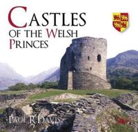 Cover image for Castles of the Welsh Princes