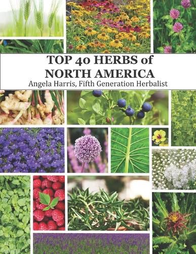 Cover image for The Top 40 Herbs of North America