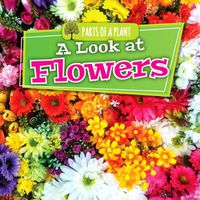 Cover image for A Look at Flowers