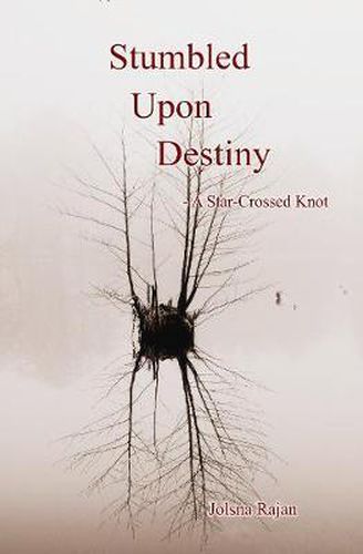 Cover image for Stumbled Upon Destiny