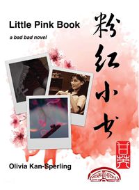 Cover image for Little Pink Book