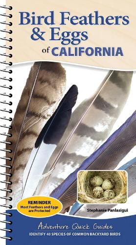 Cover image for Bird Feathers & Eggs of California