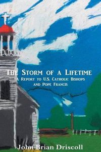 Cover image for The Storm of a Lifetime: A Report to U.S. Catholic Bishops and Pope Francis