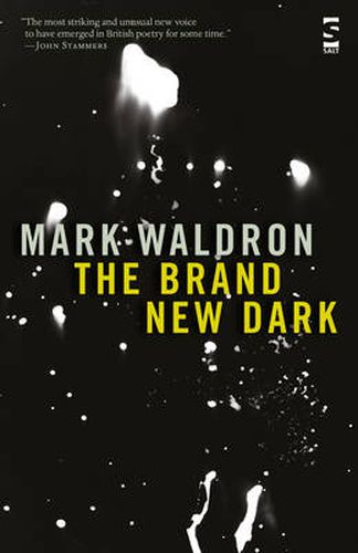 The Brand New Dark