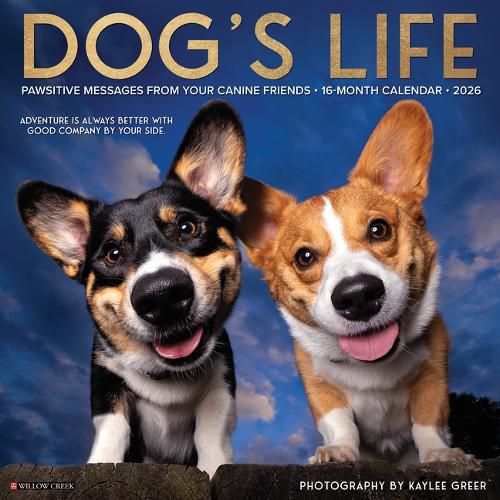 Cover image for Dog's Life 2026 Wall Calendar