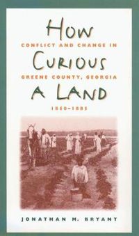 Cover image for How Curious a Land: Conflict and Change in Greene County, Georgia, 1850-1885