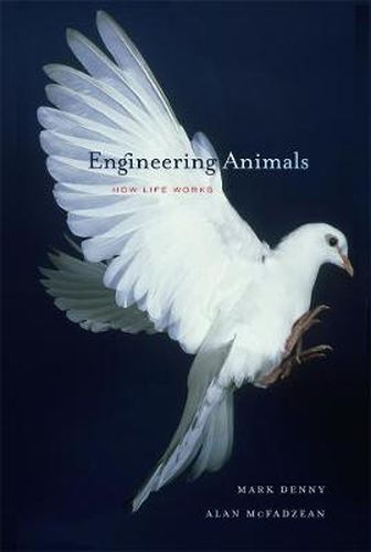 Cover image for Engineering Animals: How Life Works