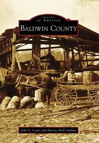 Cover image for Baldwin County