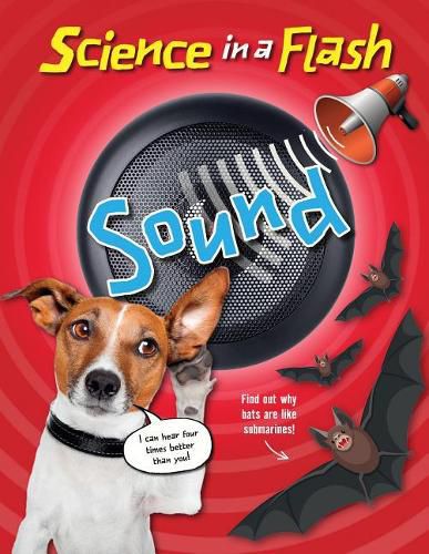 Cover image for Sound